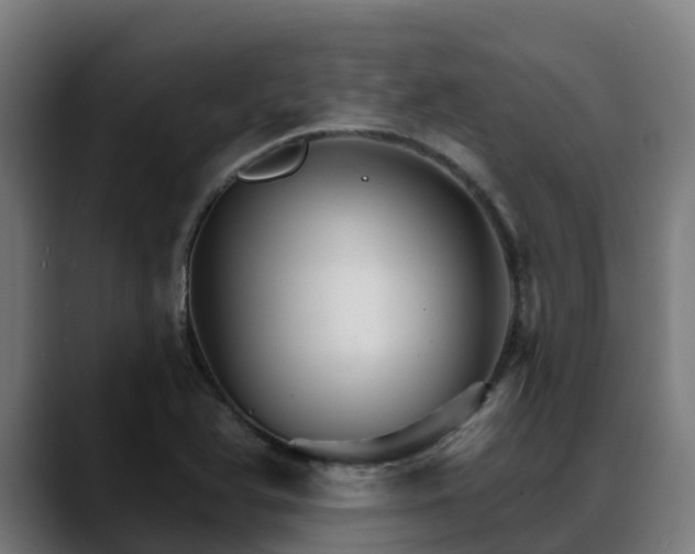 X0000088471366200705291541