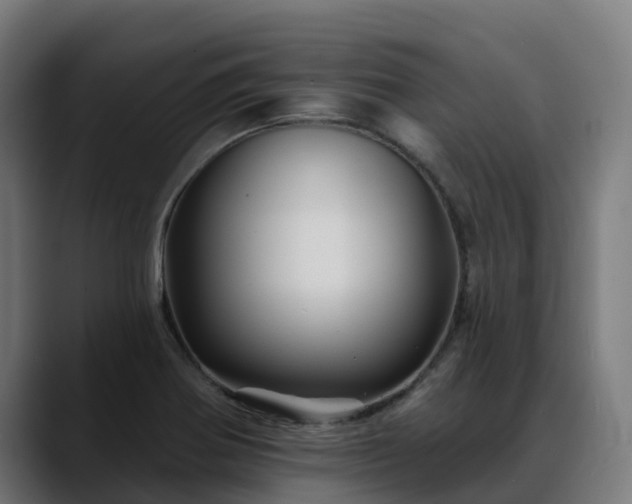 X0000088471370200705291541