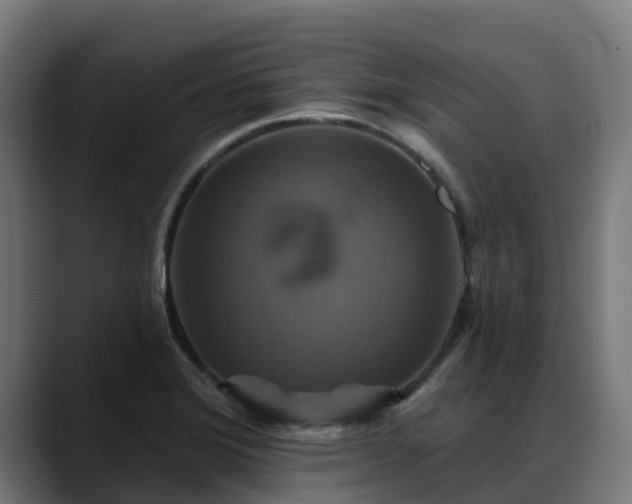 X0000088471372200705291541