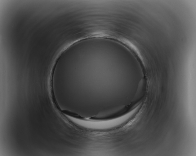 X0000088471373200705291541