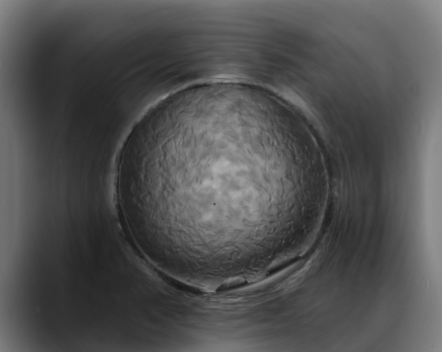 X0000088471374200705291541