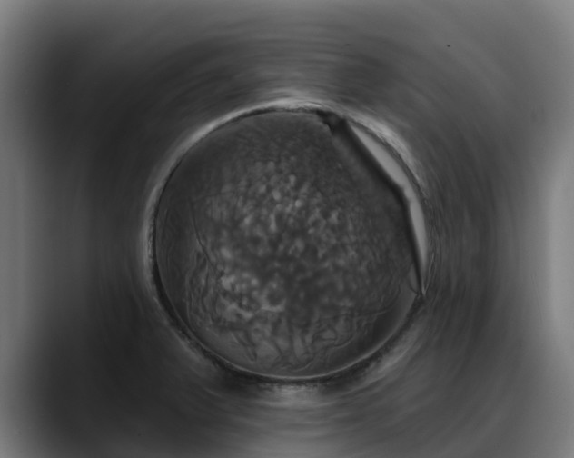 X0000088471375200705291541