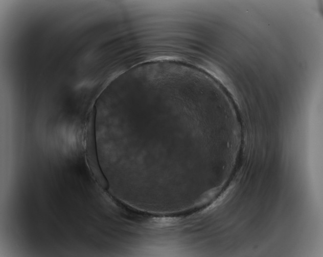X0000088471377200705291541