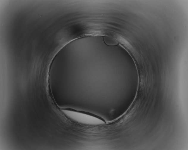 X0000088471378200705291541