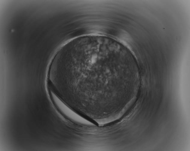X0000088471379200705291541