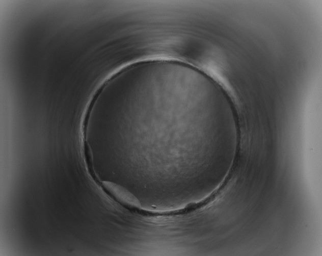 X0000088471380200705291541