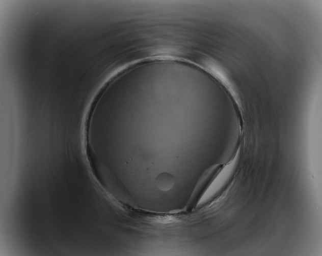 X0000088471384200705291541