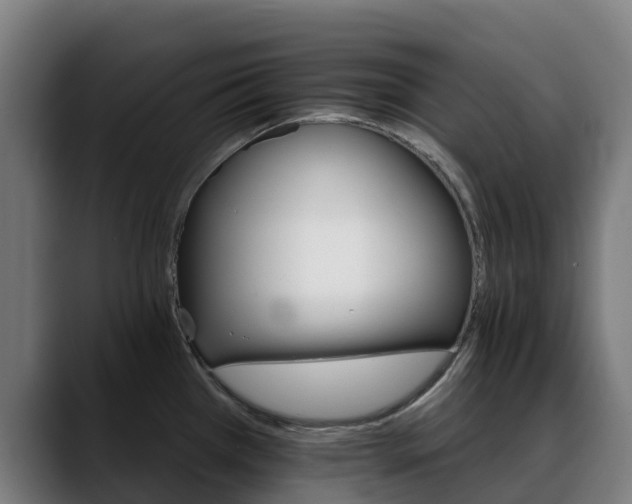 X0000088471385200705291541