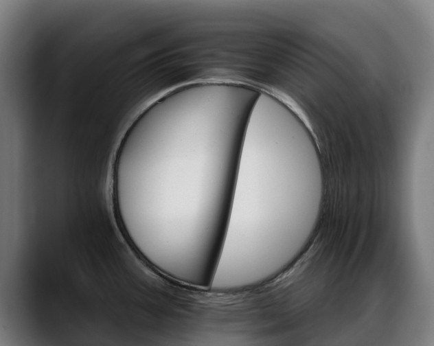 X0000088471387200705291541