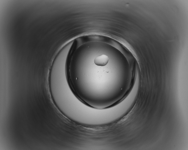 X0000088471388200705291541
