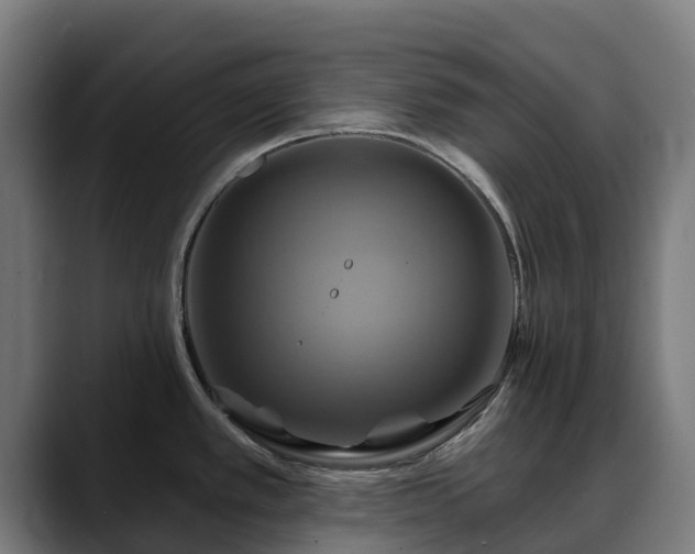 X0000088471389200705291541