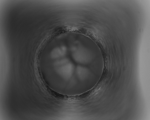 X0000088471393200705291540
