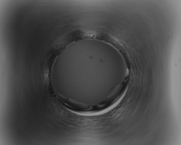 X0000088471394200705291540