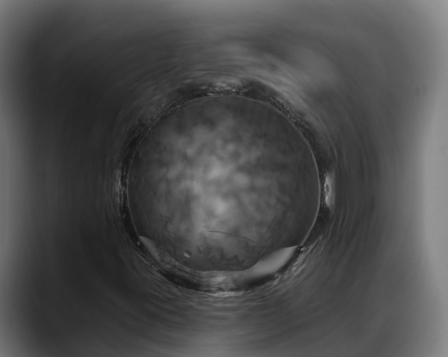 X0000088471395200705291540