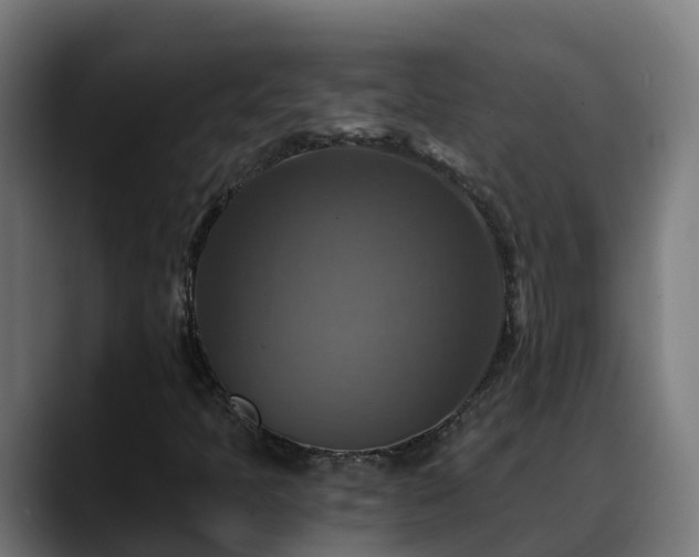 X0000088471397200705291540