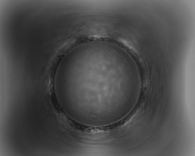 X0000088471398200705291540