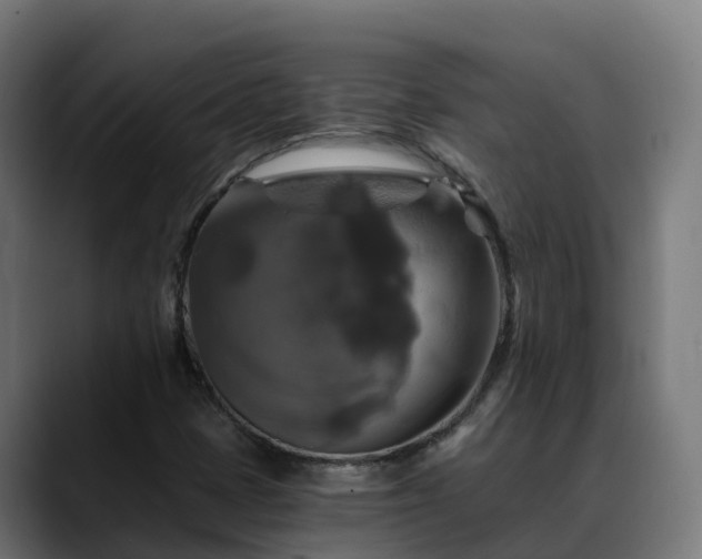 X0000088471401200705291540