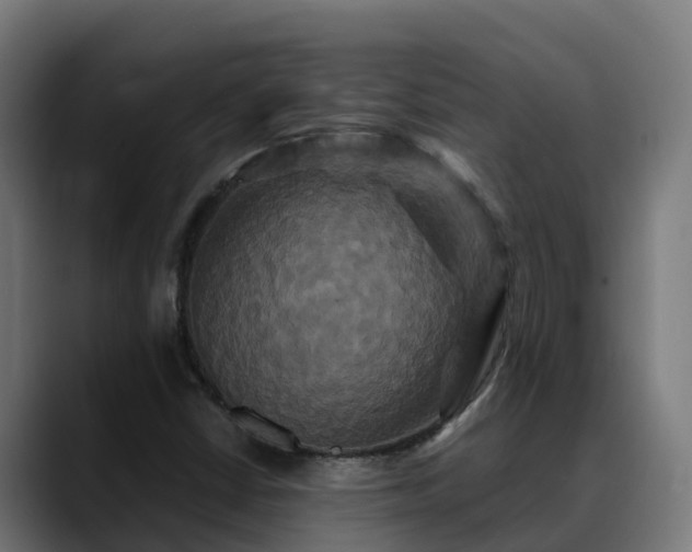 X0000088471402200705291540