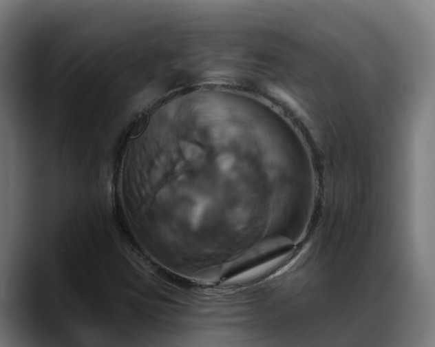 X0000088471403200705291540