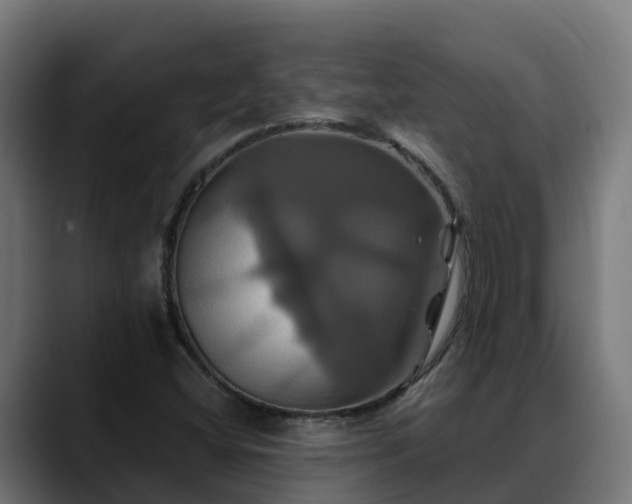 X0000088471404200705291540