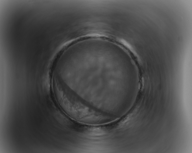 X0000088471408200705291540