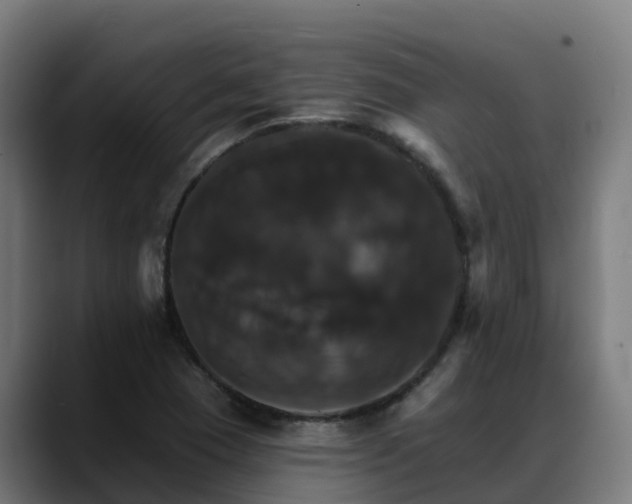 X0000088471409200705291540
