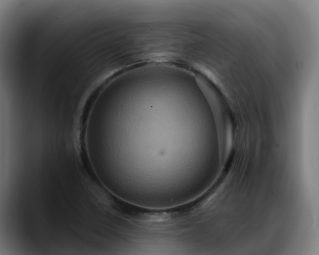 X0000088471410200705291540