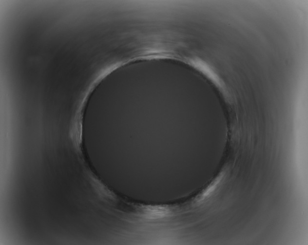 X0000088471413200705291540