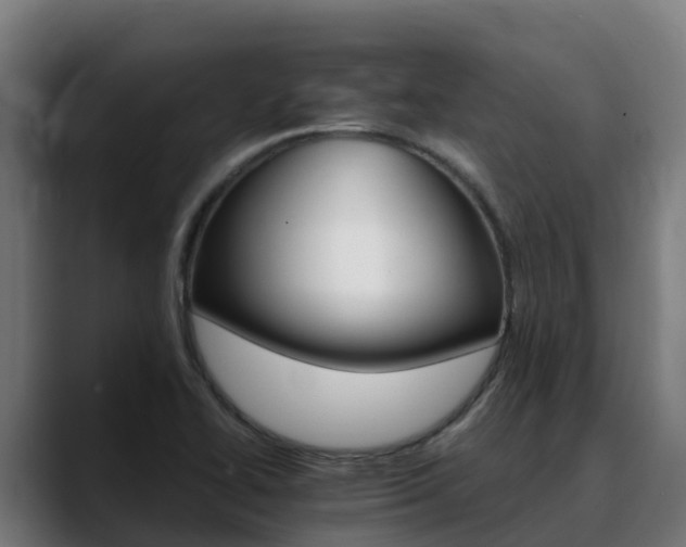 X0000088471414200705291540