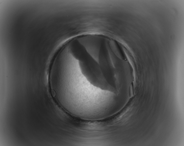 X0000088471416200705291540