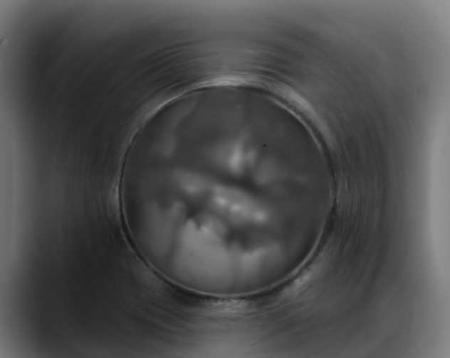 X0000088471417200705291540