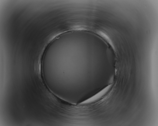 X0000088471419200705291540