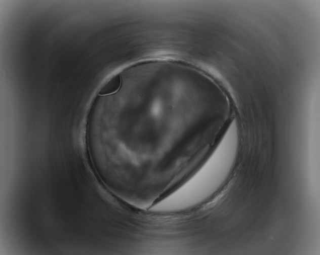 X0000088471421200705291540