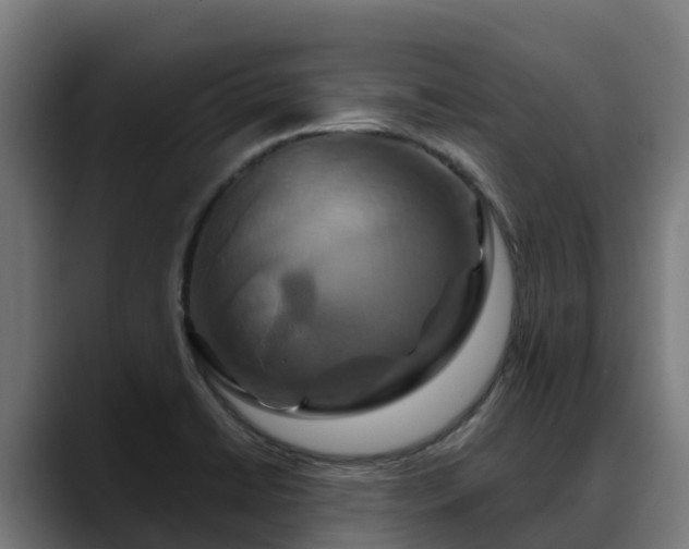 X0000088471422200705291540