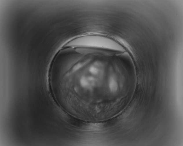 X0000088471423200705291540