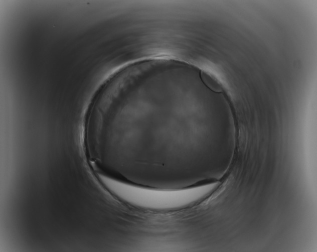 X0000088471424200705291540