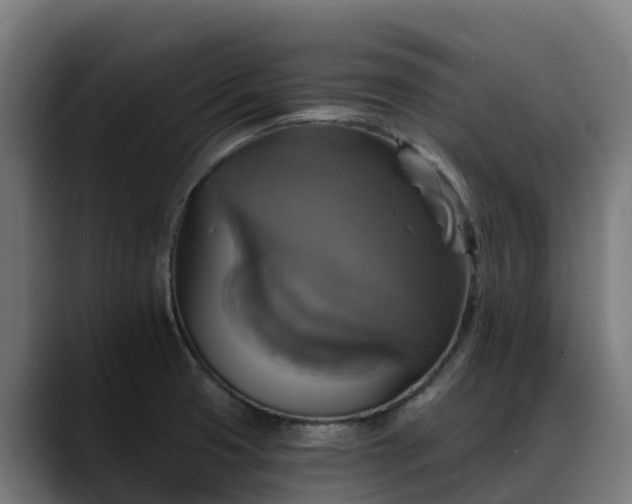X0000088471425200705291540