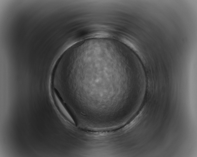 X0000088471426200705291540