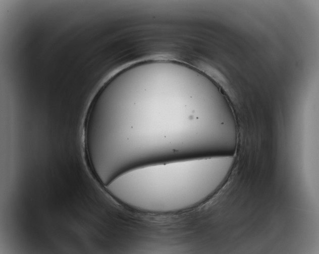 X0000088471428200705291540