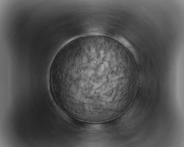 X0000088471431200705291540