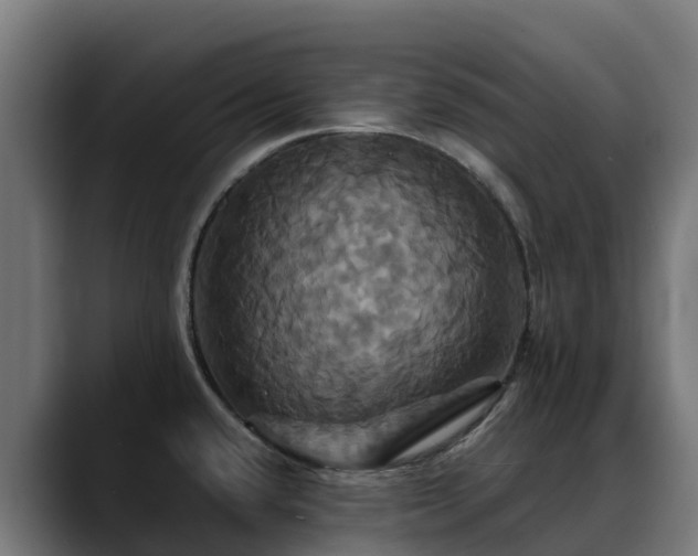 X0000088471432200705291540