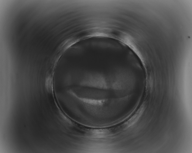 X0000088471433200705291540