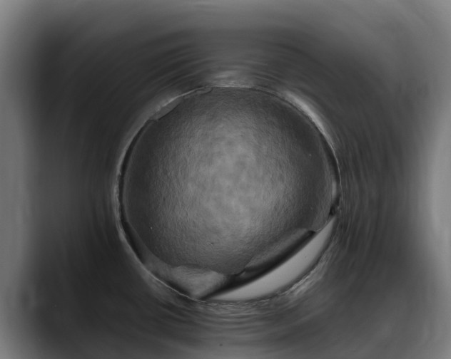 X0000088471434200705291540
