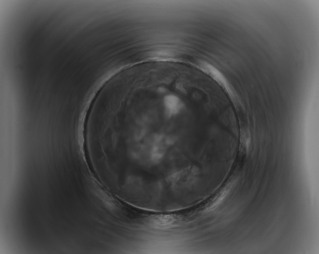 X0000088471435200705291540