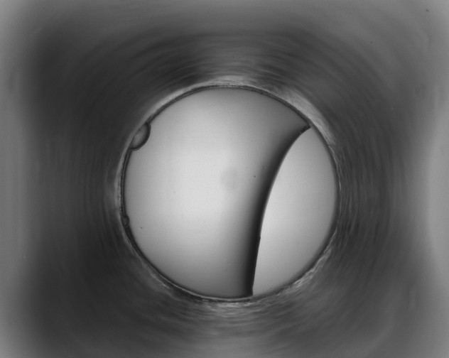 X0000088471436200705291540