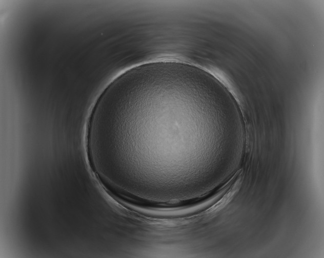X0000088471438200705291540