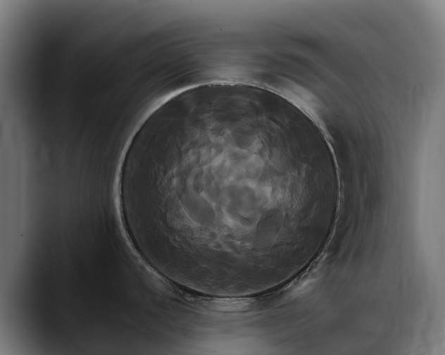 X0000088471440200705291541
