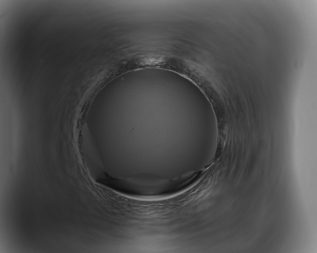 X0000088471441200705291540