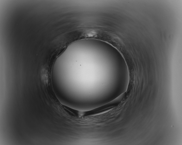 X0000088471442200705291540