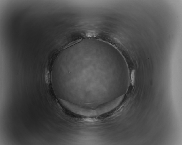 X0000088471443200705291540